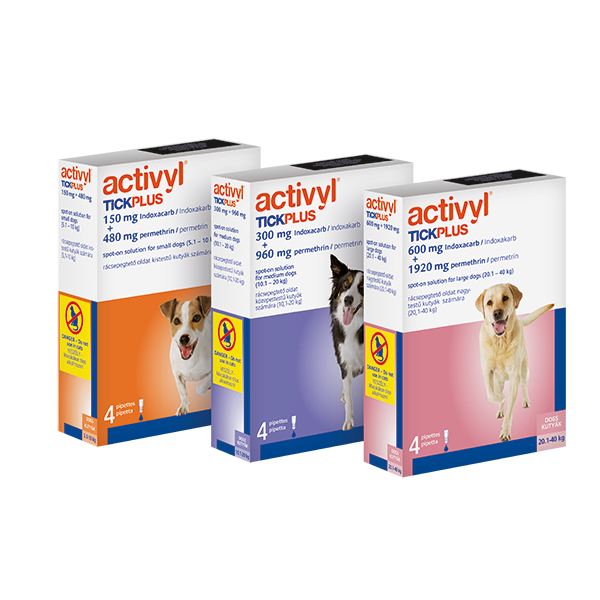 effipro flea treatment for dogs