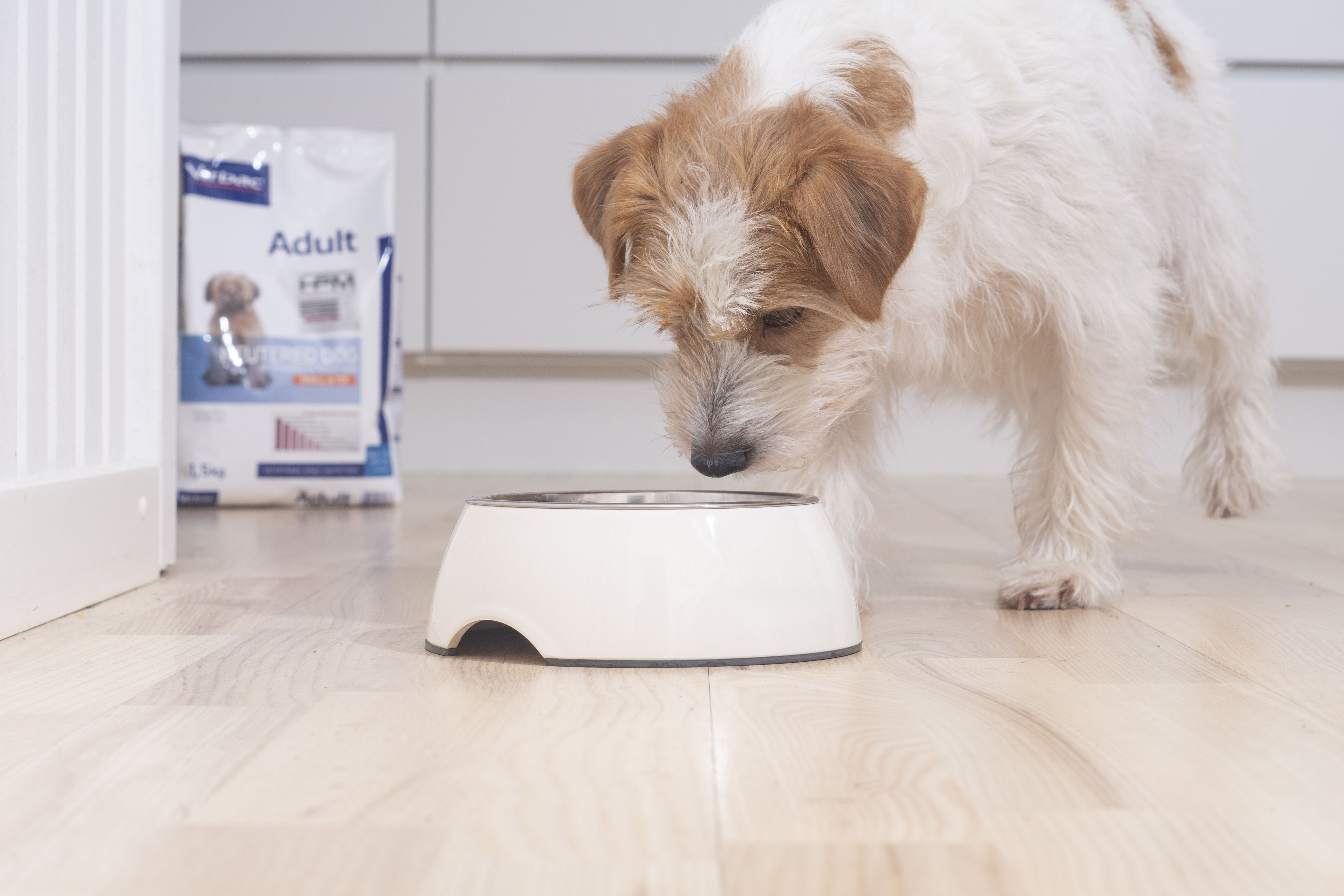 Virbac Veterinary HPM Dog Joint & Mobility J1 Hondenvoer ▻ Pak je voordeel vandaag nog