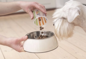 Dog_person pouring pet food in a bowl with white dog looking_indoor_with petowner_advice