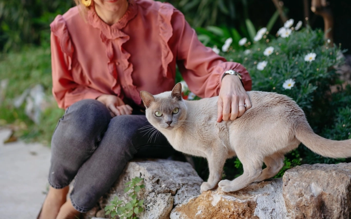 Woman petting a light gray cat on garden rocks surrounded by green plants and white flowers.