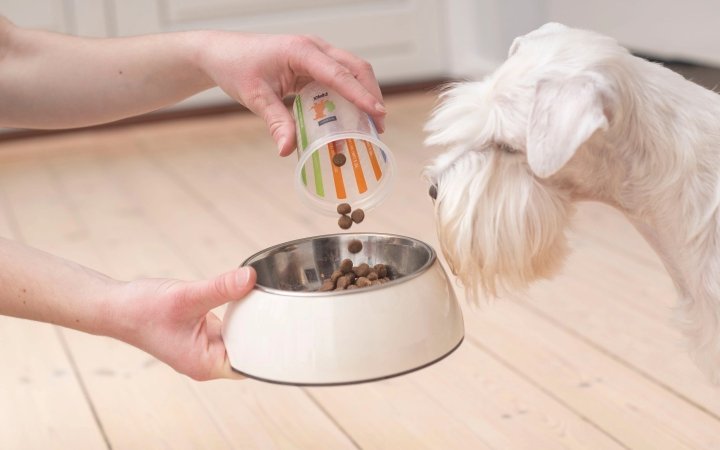 Person pouring dry dog food into a bowl while a white dog eagerly watches.