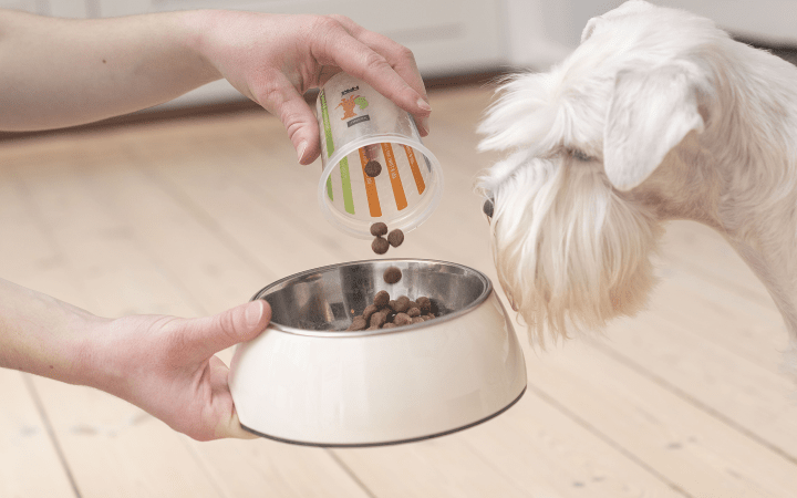 Dog_person pouring pet food in a bowl with white dog looking_indoor_with petowner_advice