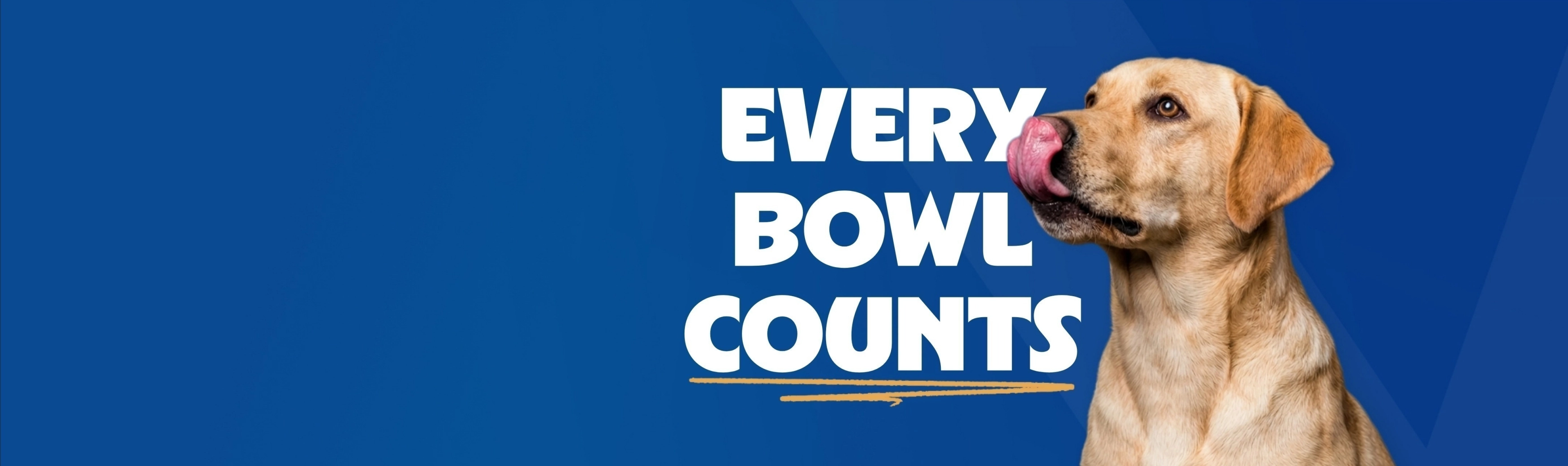 adcf7dc8bd50-Banner-blue-Every-Bowl-Counts.jpg
