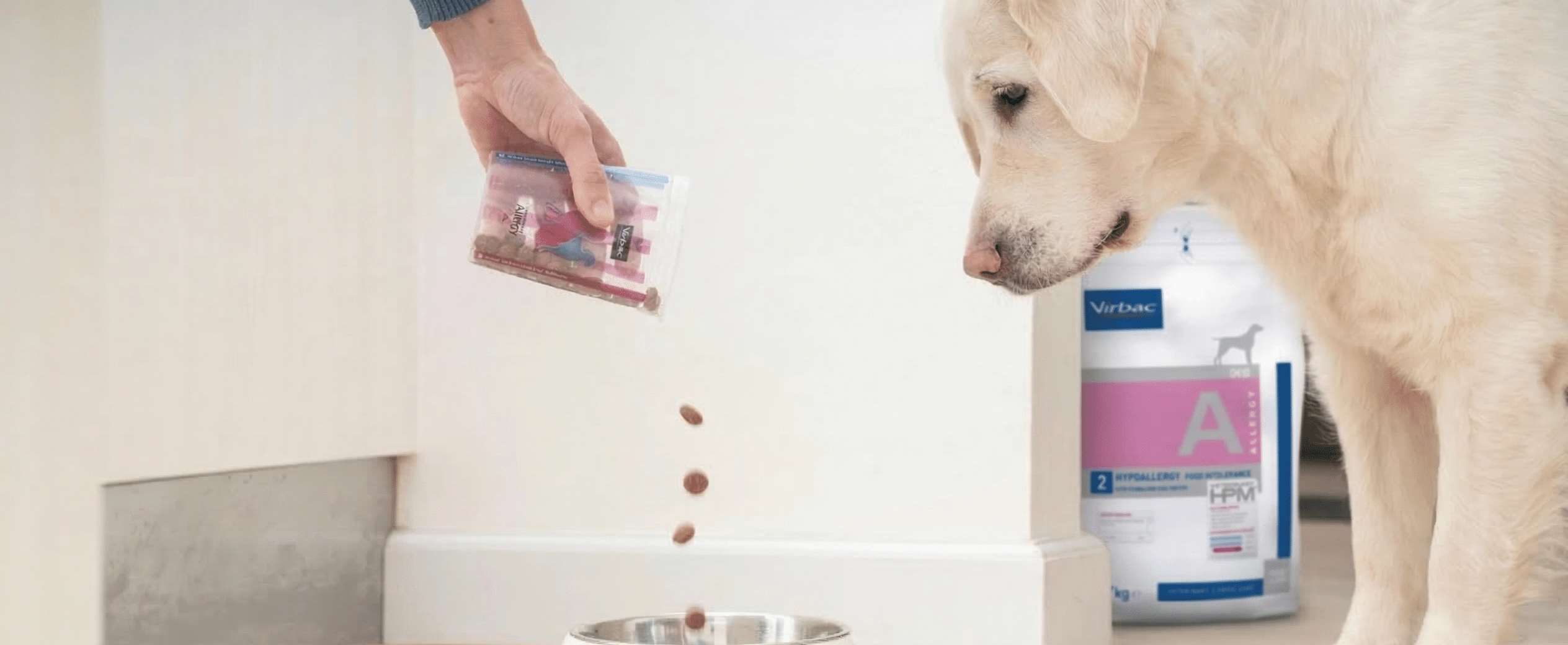 Dog eating Hypoallergy A2