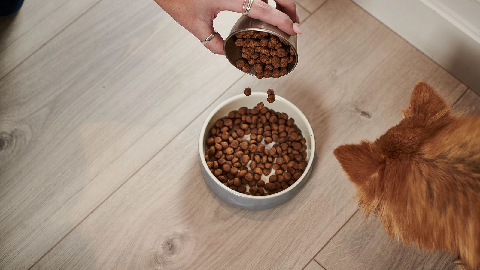 HPM In Bowl