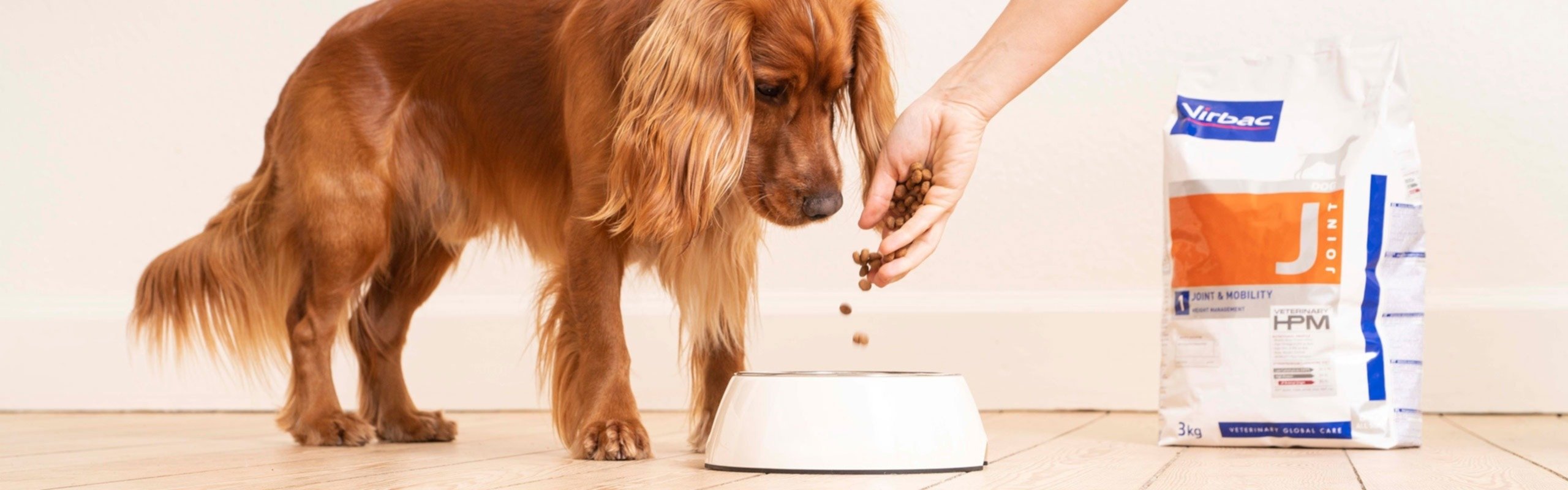 Homepage highlight 2 background