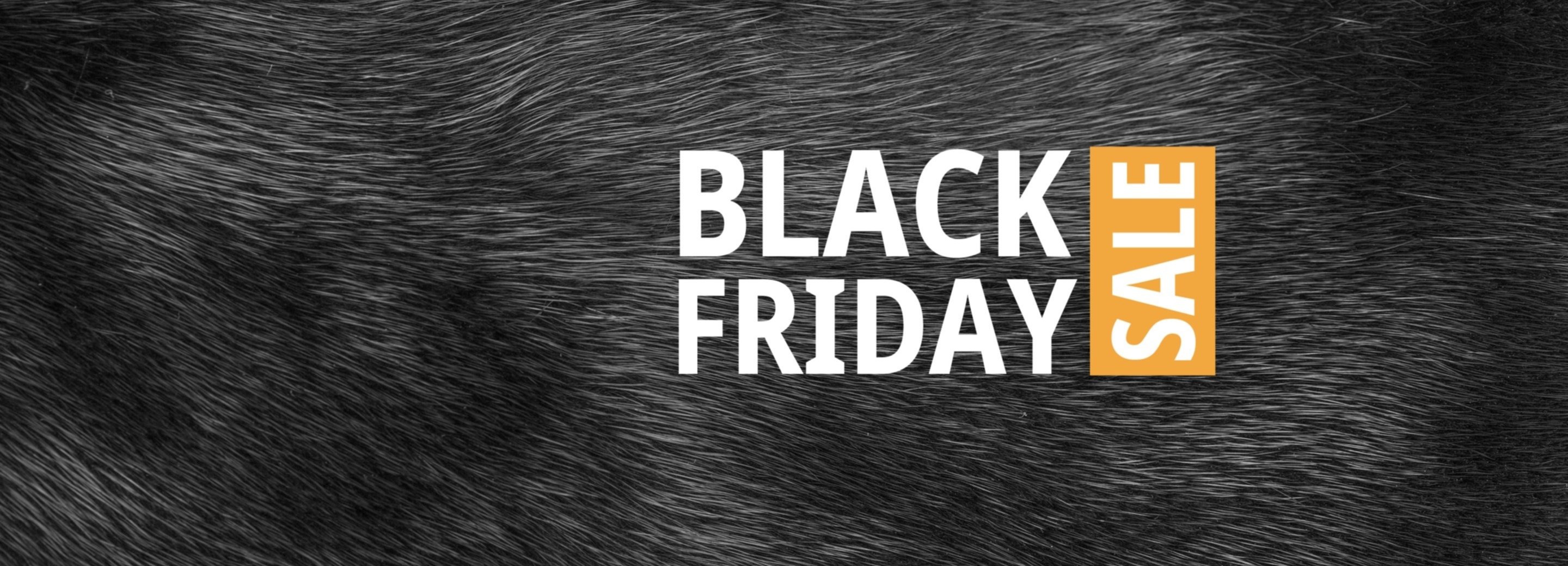 Black Friday Hero