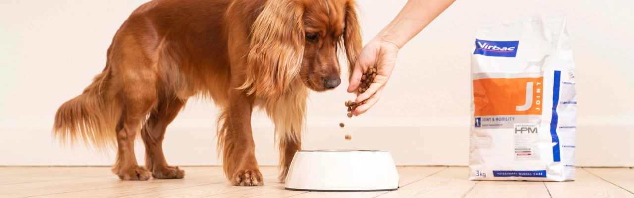 Homepage highlight 2 background