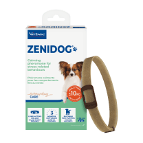 309359_Packshot_Zenidog_Collar-S-x1_face.png