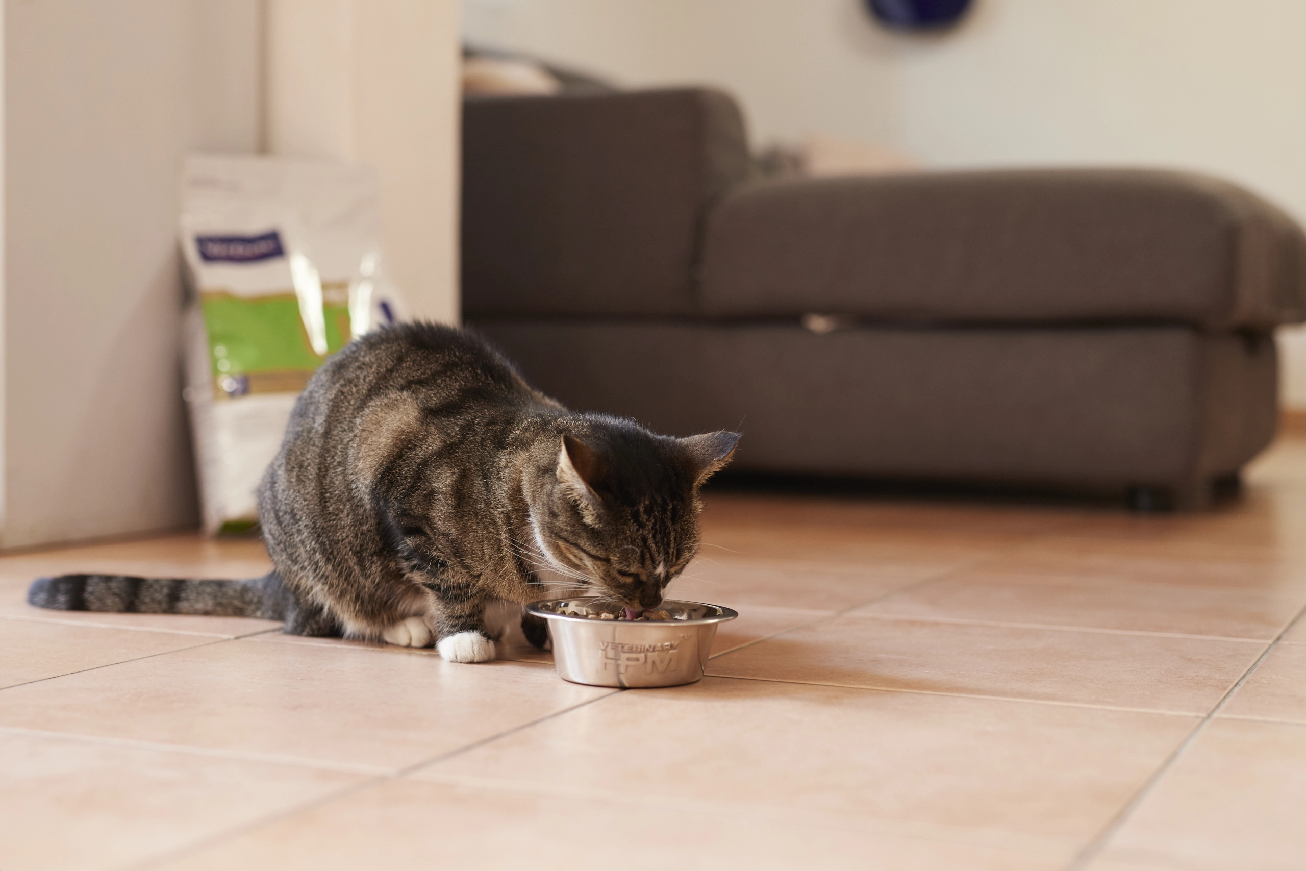 Urology Cat Food U2 - Dissolution & Prevention - Virbac UK