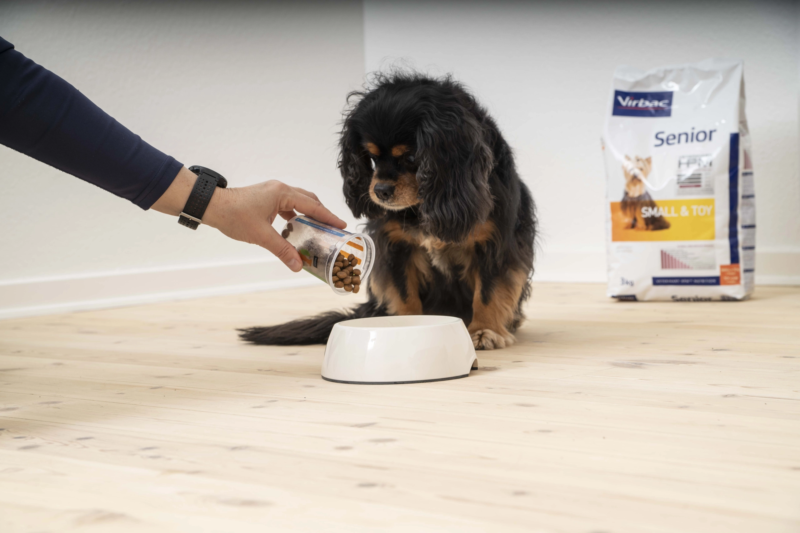 Senior Small & Toy – Dog Food for Senior Small Breeds - Virbac UK