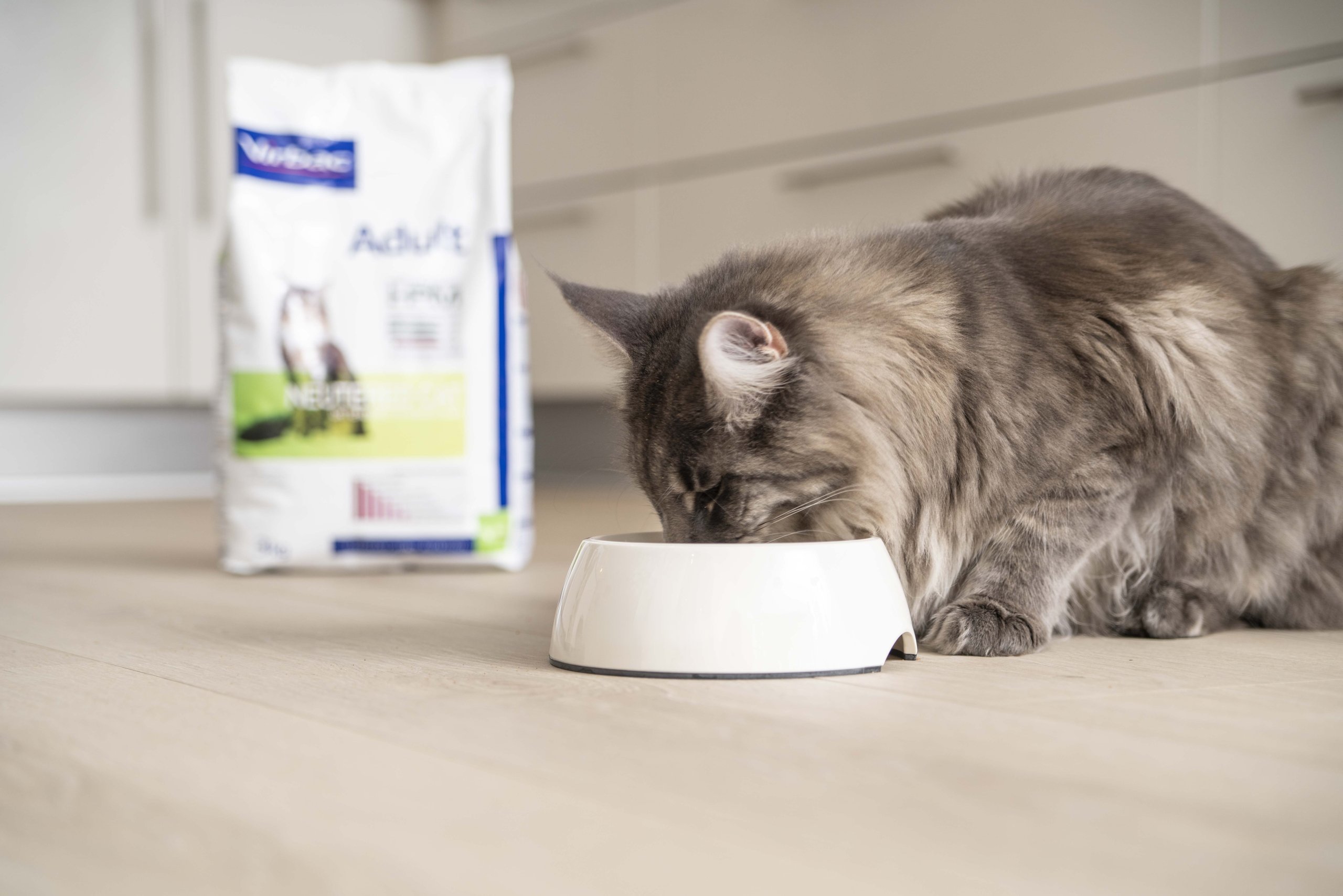 Adult Neutered & Entire With Salmon – Adult Cat Food - Virbac UK