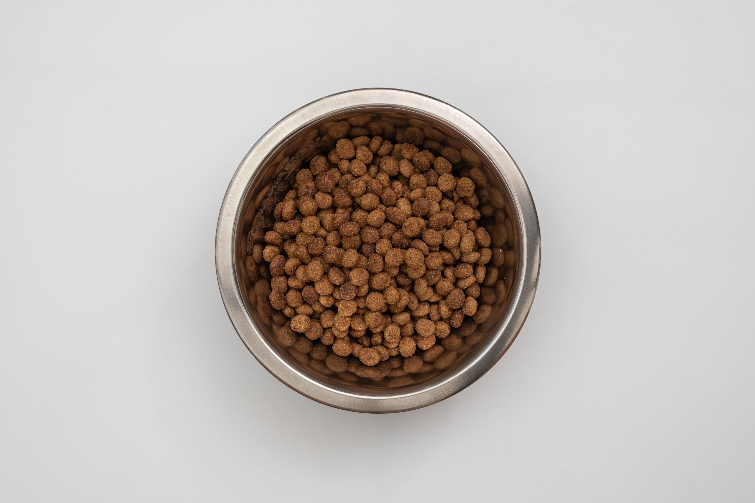 HPM Prev - Adult Neutered Cat