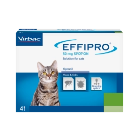Effipro spot on Cat