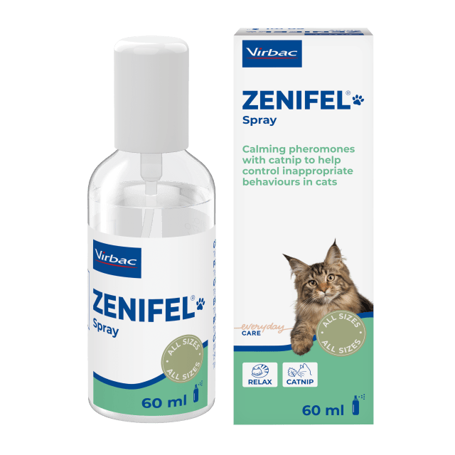 Zenifel