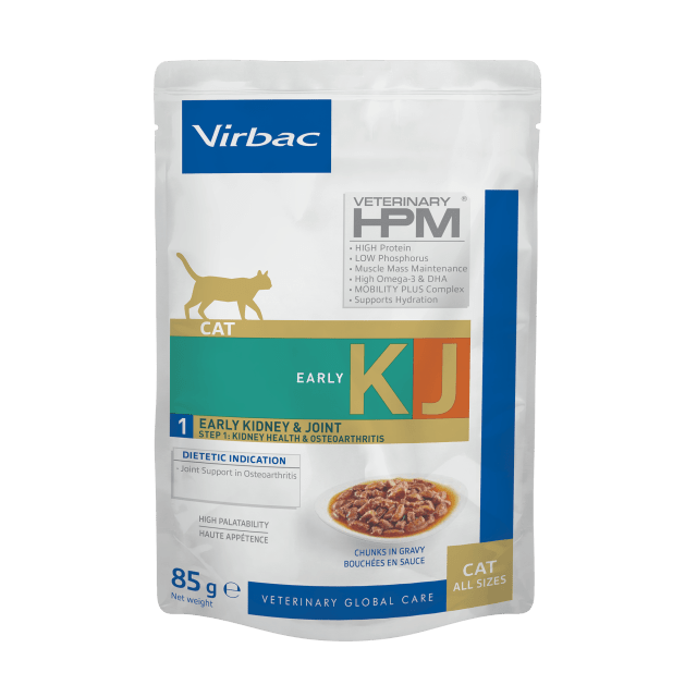 HPM Wet - early kidney cat