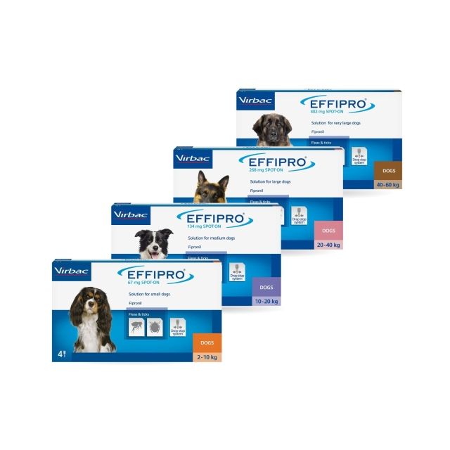 Effipro spot on Dog