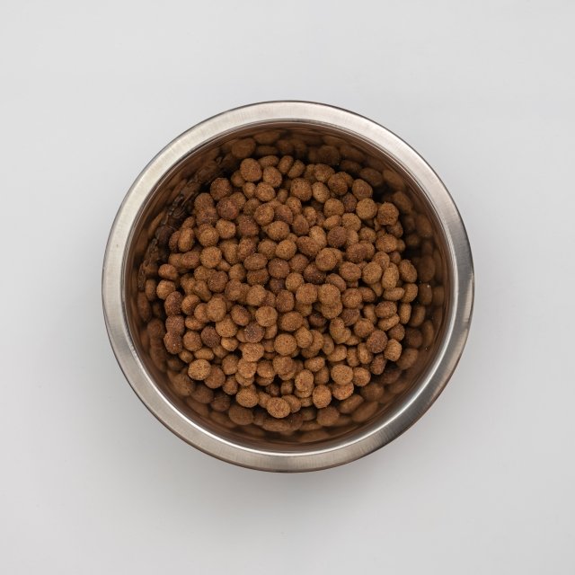 Puppy Large Medium Dry Puppy Food for Medium Large Breeds