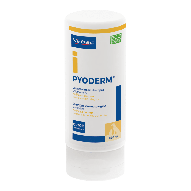 Pyoderm