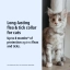 UK_Prevexto-Cat_Unity-Visual_1_2026.jpg