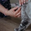 UK_Prevexto-Cat_Unity-Visual_2_2026.jpg