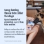 UK_Prevexto-Dog_Unity-Visual_1_2026.jpg