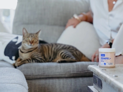 Zenifel Gel for Cats