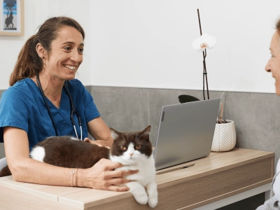 Cat_lying on a desk_clinic_with vet and petowner_advice