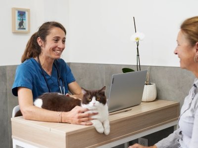 Smiling veterinarian with stethoscope talking to pet owner while cat rests on desk in veterinary clinic.