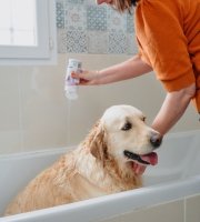 Dog shampoo