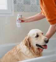 Dog_Allerderm shampoo_taking a bath_indoor_with petowner_advice